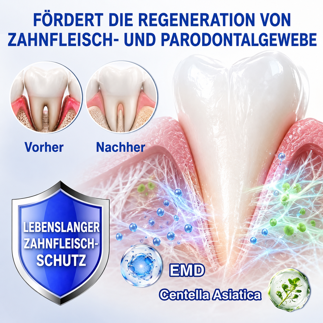 🦷💊Healrize® GumRevive Gel zur Regeneration des Zahnhalteapparats (bei Zahnfleischbluten, Zahnfleischrückgang und lockeren Zähnen)💊